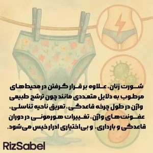 شورت زنان، علاوه بر‌قرار گرفتن در محیط‌های مرطوب به دلایل متعددی مانند چون ترشح طبیعی واژن در طول چرخه قاعدگی، تعریق ناحیه تناسلی، عفونت‌های واژن، تغییرات هورمونی در دوران قاعدگی و بارداری، و بی‌اختیاری ادرار خیس می‌شود.