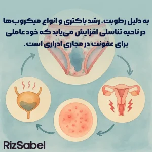 به دلیل رطوبت، رشد باکتری و انواع میکروب‌ها در ناحیه تناسلی افزایش می‌یابد که خود عاملی برای عفونت در مجاری ادراری است.